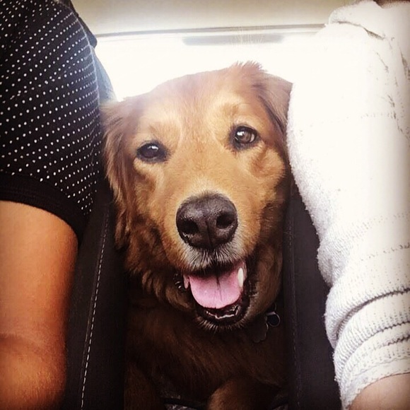 Meet your Posher, Hilary - Picture 1 of 1